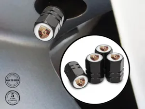 Porsche Capsules De Tige De Valve SUV Style Force